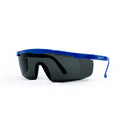 LENTES SP100 AF OSCUROS - MARCA SEGPRO